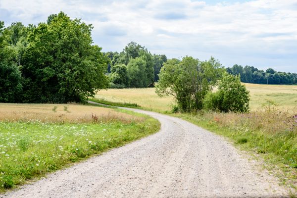 Stone Driveway Repair in Trenton