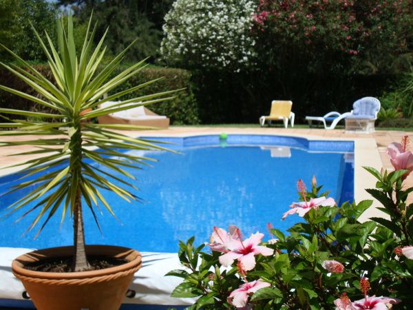 Pool Terrace Renovation in Trenton