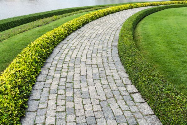Sidewalk Pavers Installation in Trenton