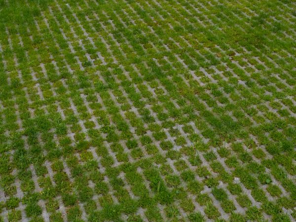 Permeable Pavement Service in Trenton